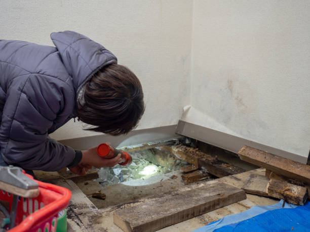 Best Post-Remediation Verification Testing  in Oyster Creek, TX