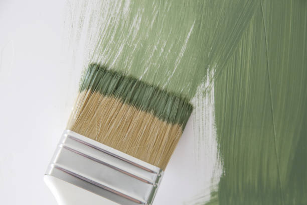 Professional Mold Removal in Oyster Creek, TX
