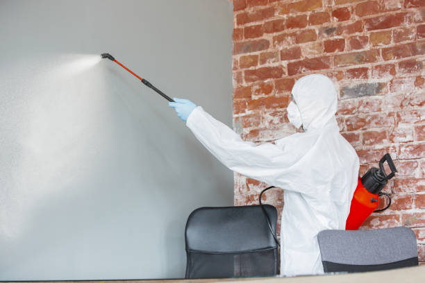 Best Mold-Related Health Consultation  in Oyster Creek, TX