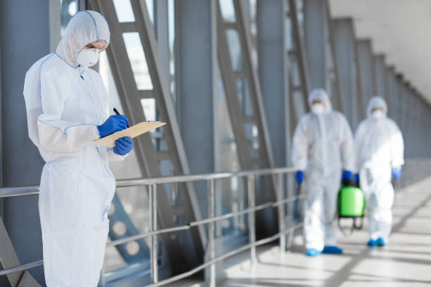 Best Emergency Mold Remediation  in Oyster Creek, TX
