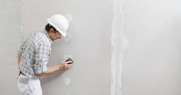 Best Black Mold Removal  in Oyster Creek, TX